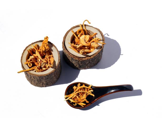 Cordyceps – secretul din cosmetica asiatică